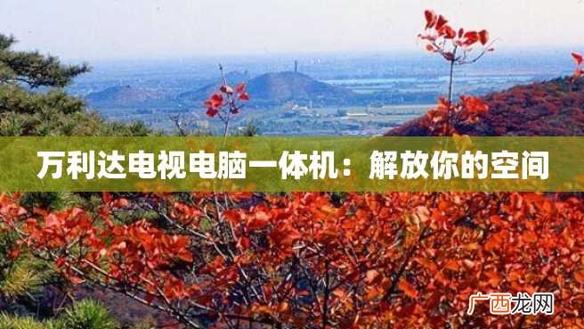 万利达电视电脑一体机：解放你的空间