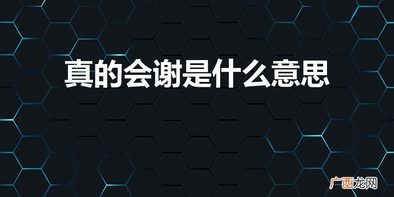 我真的谢是什么意思 真的会谢是什么意思