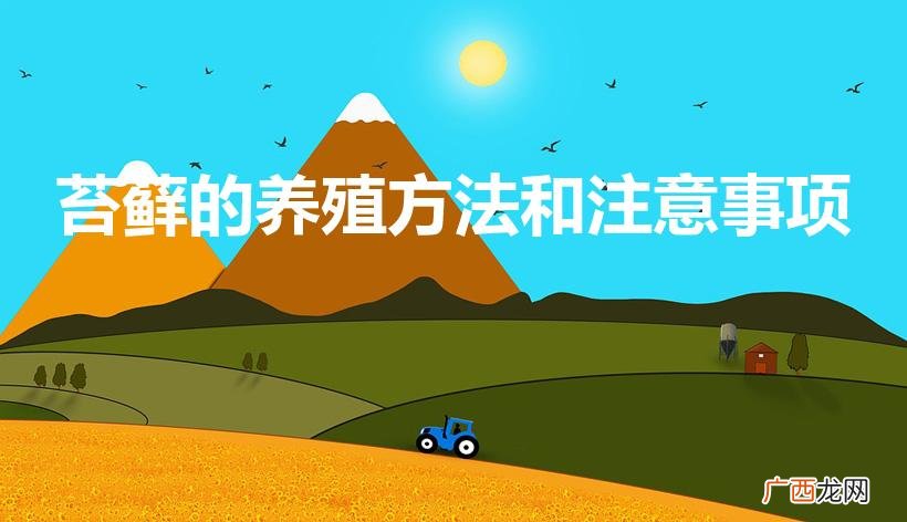苔藓怎么养 苔藓的养殖方法和注意事项