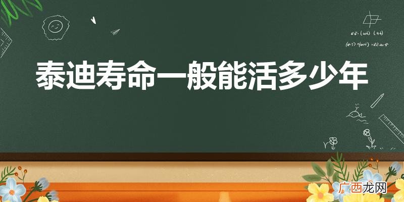 泰迪一般能活几年 泰迪寿命一般能活多少年
