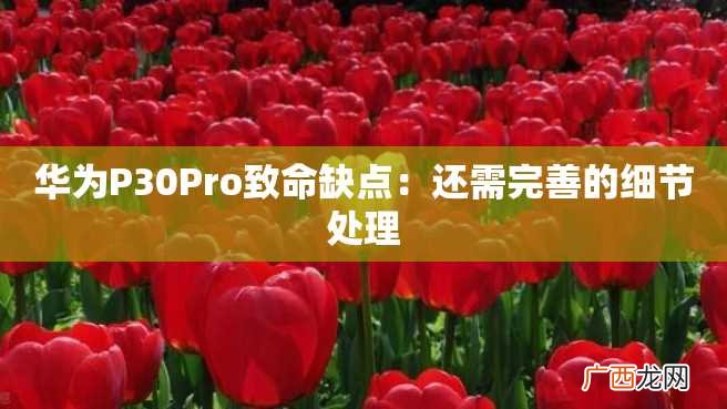 华为P30Pro致命缺点:还需完善的细节处理