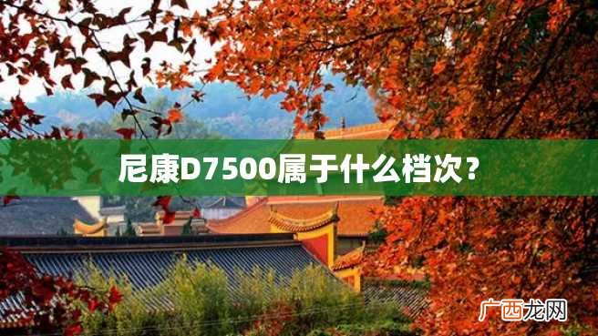 尼康D7500属于什么档次？