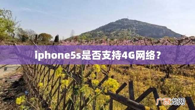iphone5s是否支持4G网络？