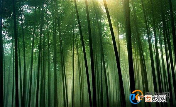 相得益彰是什么意思 相得益彰一般来形容什么_酷知科普