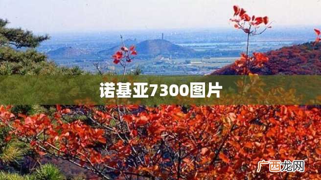 诺基亚7300图片