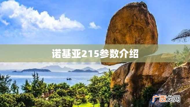 诺基亚215参数介绍