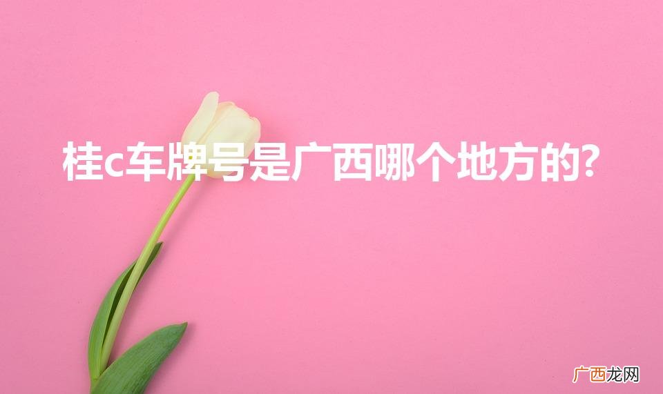 桂C车牌来自广西何地? 桂c车牌号是广西哪个地方的?