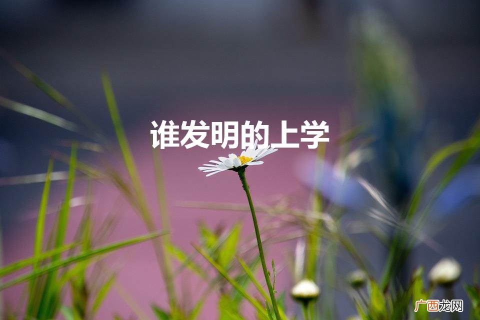 上学是谁发明的呢 谁发明的上学