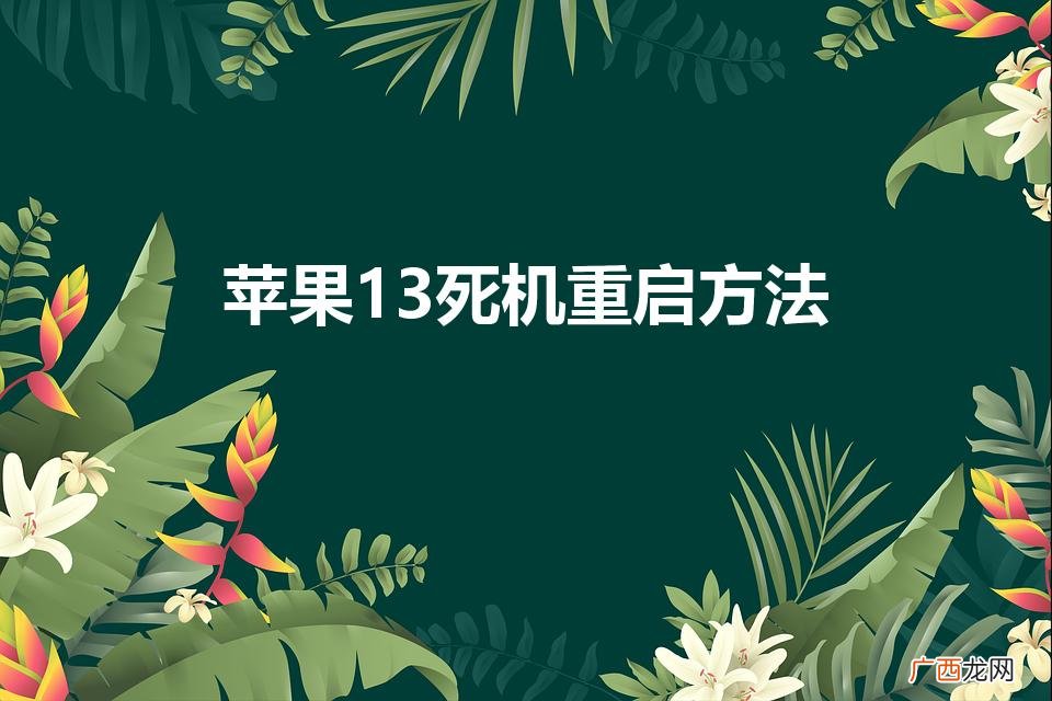 苹果13死机屏幕无反应怎么办 苹果13死机重启方法