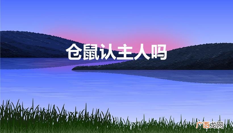 仓鼠会认主人吗 仓鼠认主人吗