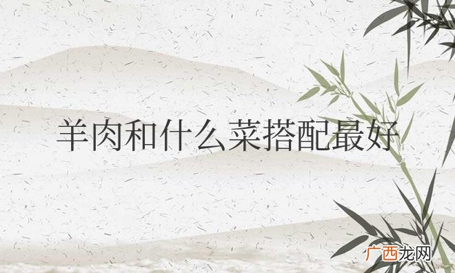 羊肉和什么菜搭配最好