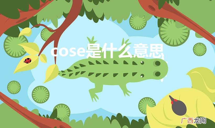 cose中文什么意思 cose是什么意思