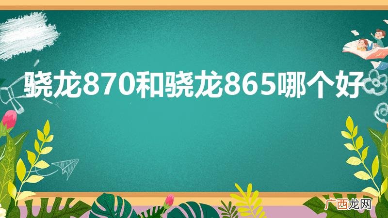 骁龙870和骁龙865哪个好