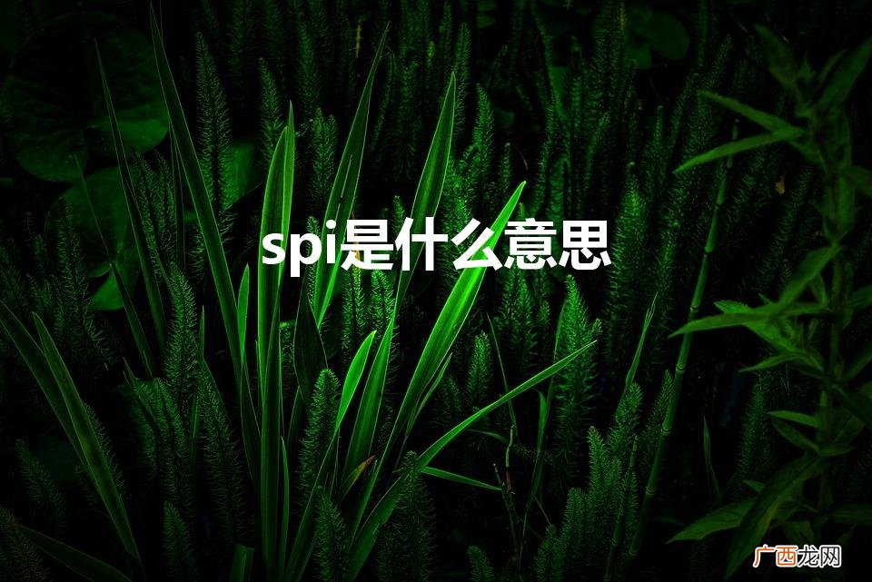 SPI是什么意思 spi是什么意思