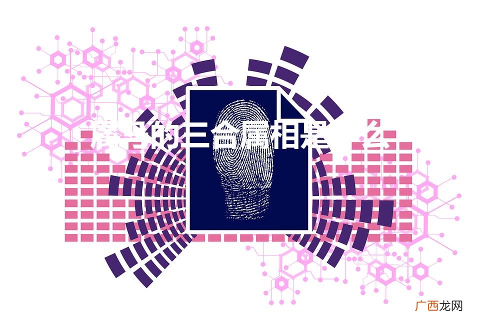 78年属马的三合属相是什么 属马的三合属相是什么