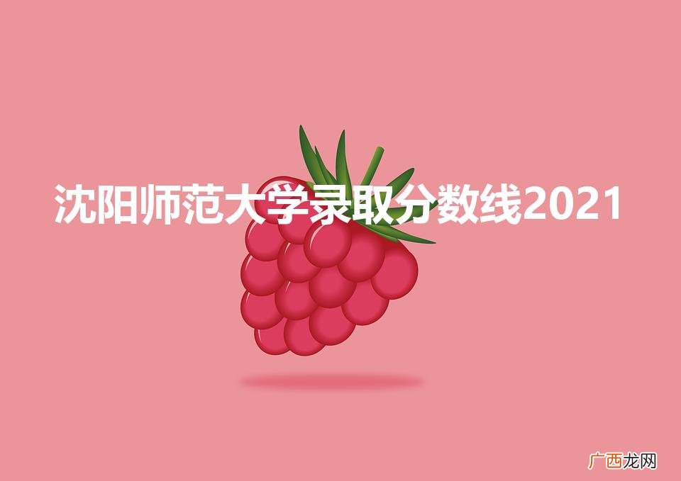 沈阳师范大学分数线 沈阳师范大学录取分数线2021