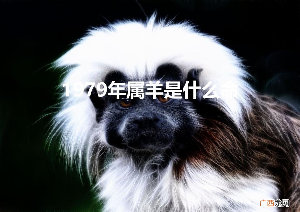 1979年属羊是什么命五行属什么 1979年属羊是什么命