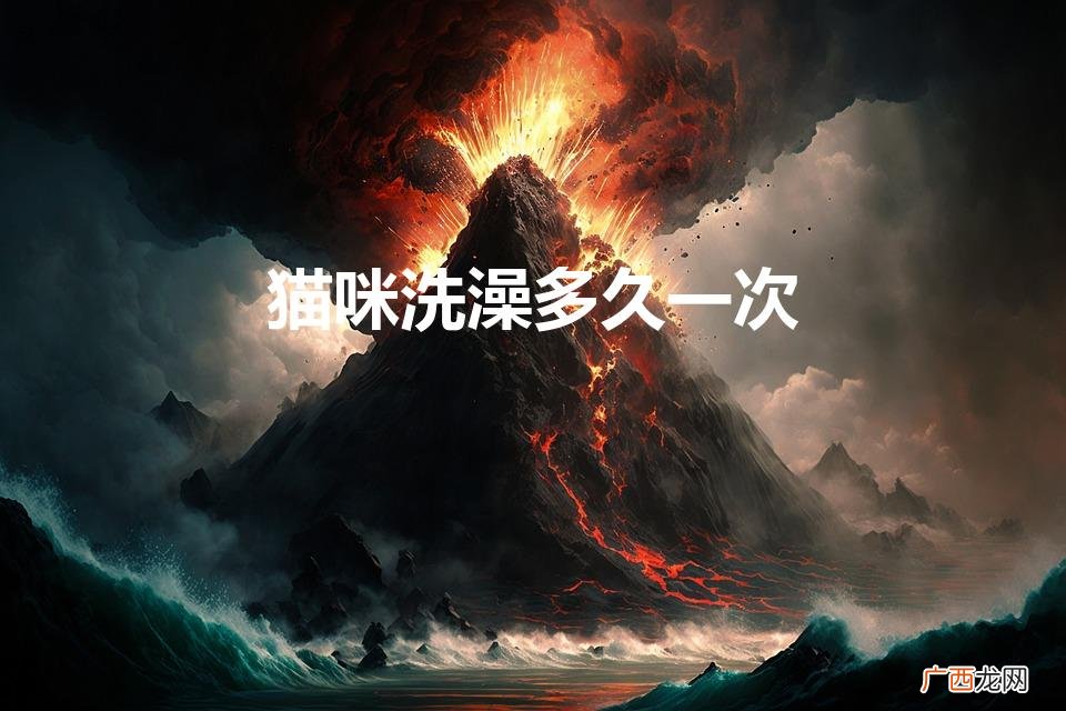猫咪洗澡多久一次（宠物猫怎么洗澡)
