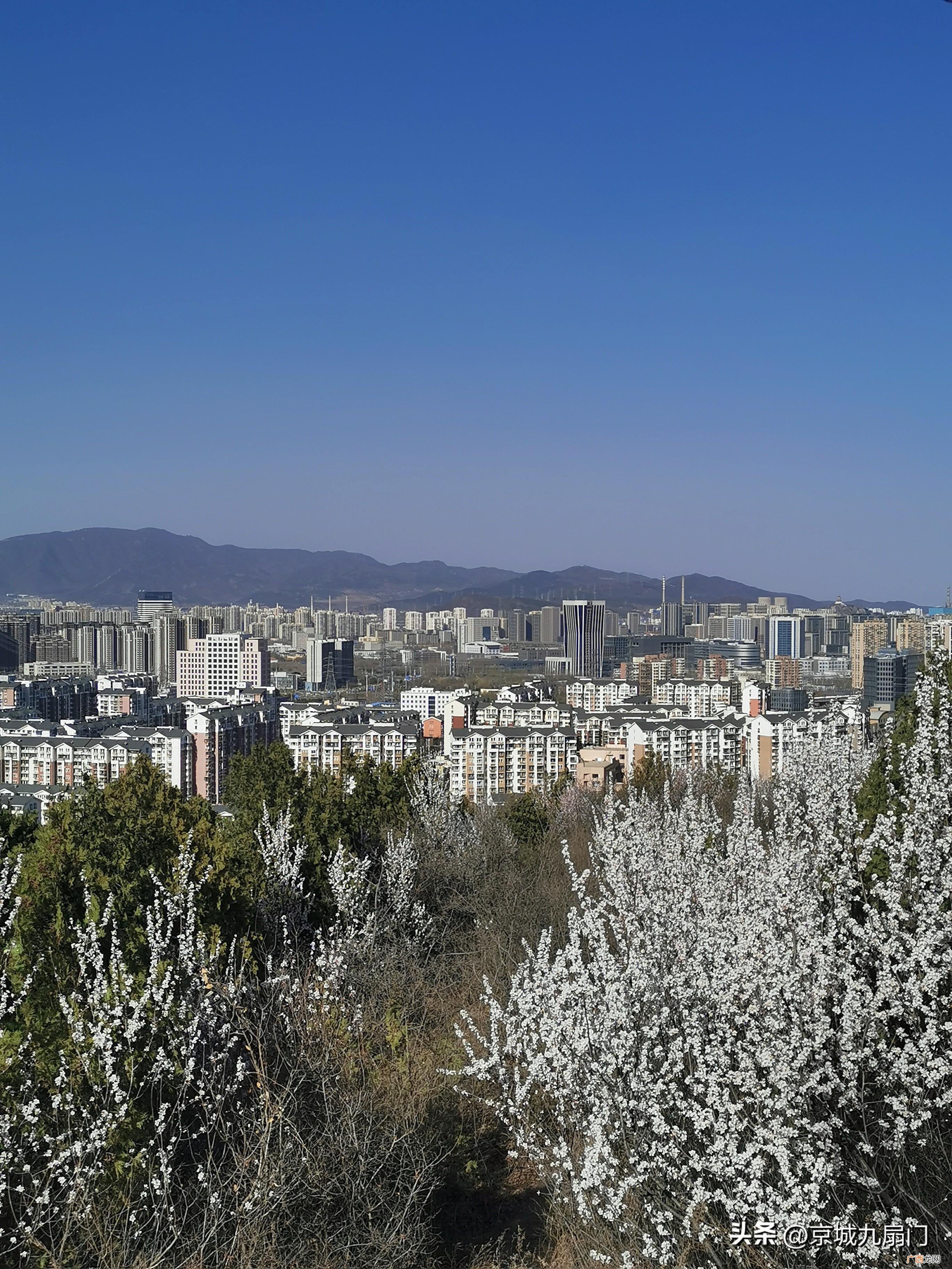 戒台寺在什么地方 戒台寺介绍