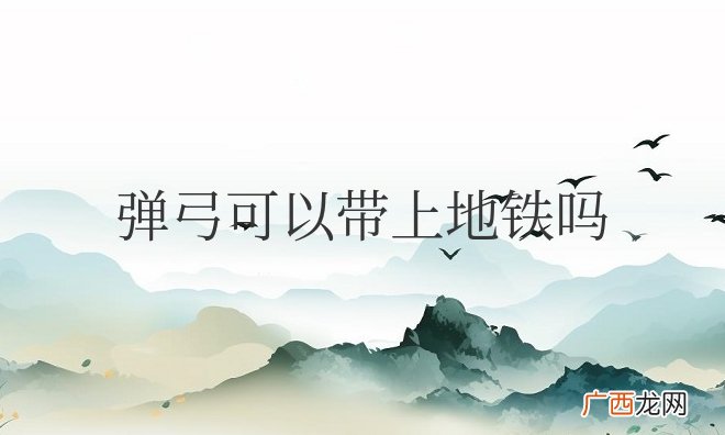 弹弓可以带上地铁吗
