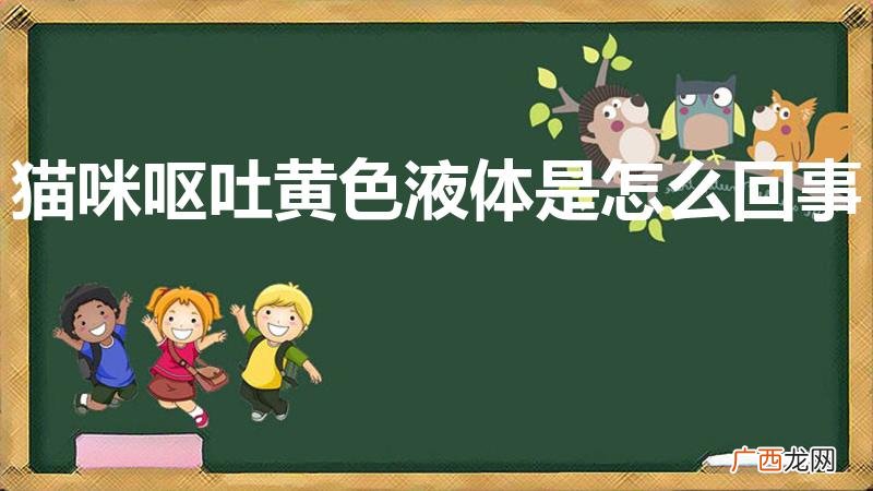 猫咪吐黄水是什么原因 猫咪呕吐黄色液体是怎么回事