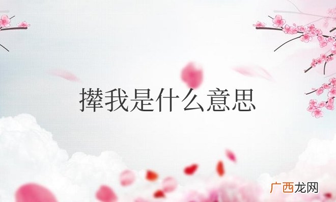 基本含义为驱逐、赶走 撵我是什么意思解释
