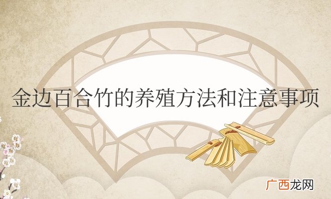 金边百合竹的养殖方法和注意事项