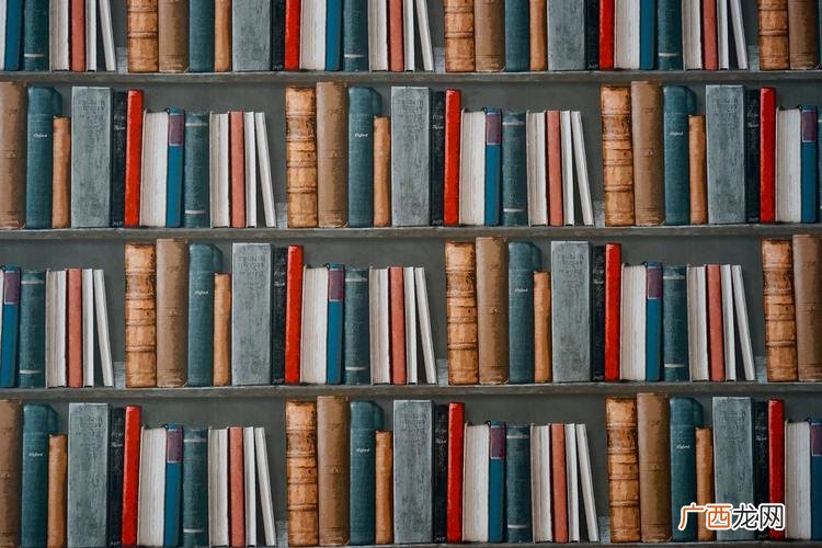 book和books的区别用法