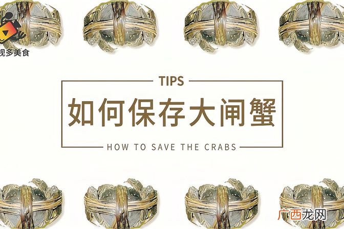 分享大闸蟹最佳储存方式和技巧 如何保存邮寄的大闸蟹