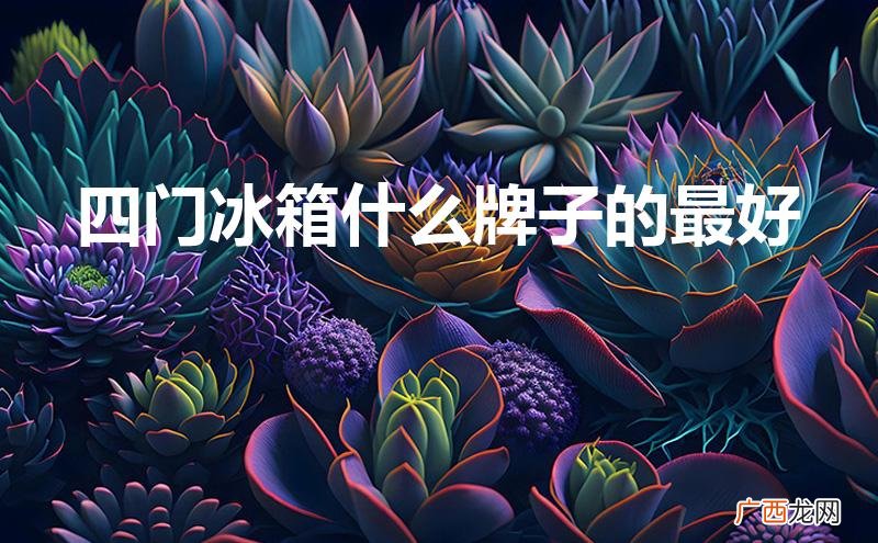 四门冰箱什么牌子的最好商用 四门冰箱什么牌子的最好