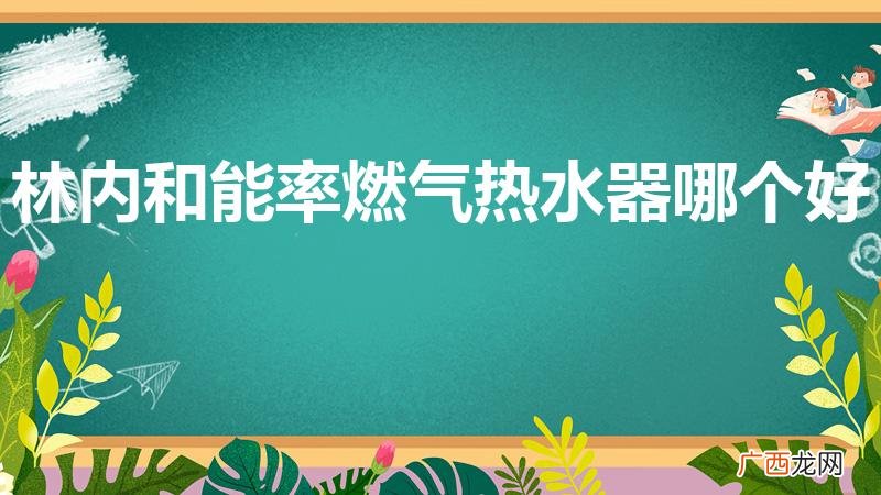 林内和能率燃气热水器哪个好