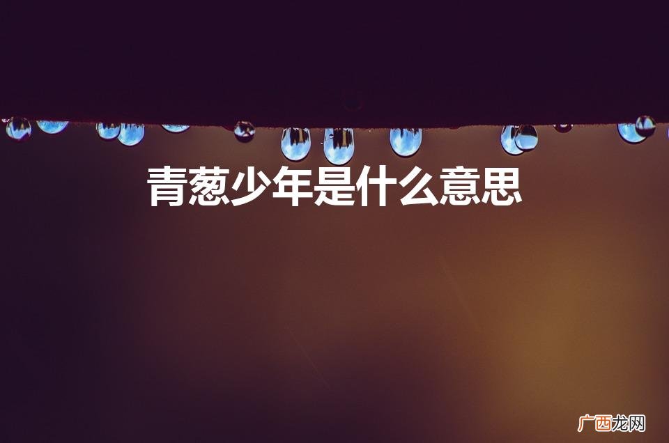 青葱的年少 青葱少年是什么意思