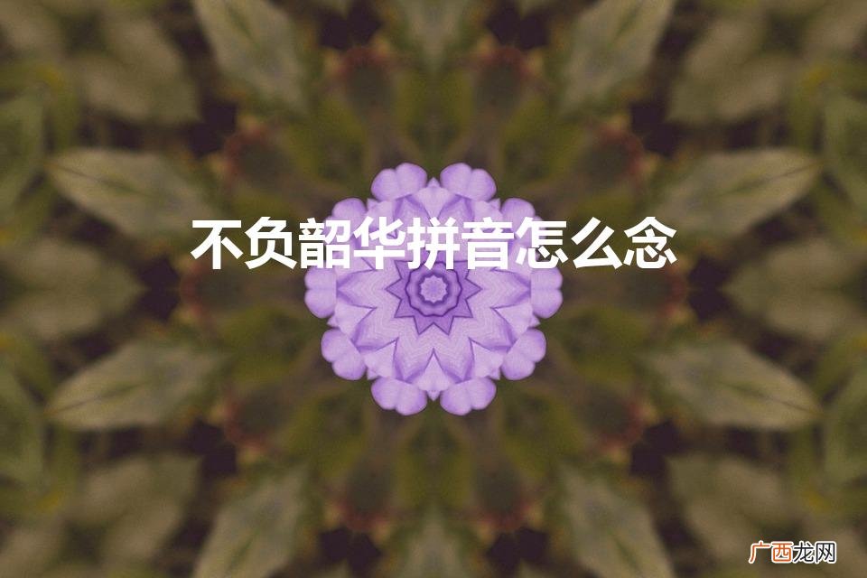 韶光无悔，永不停歇 不负韶华拼音怎么念