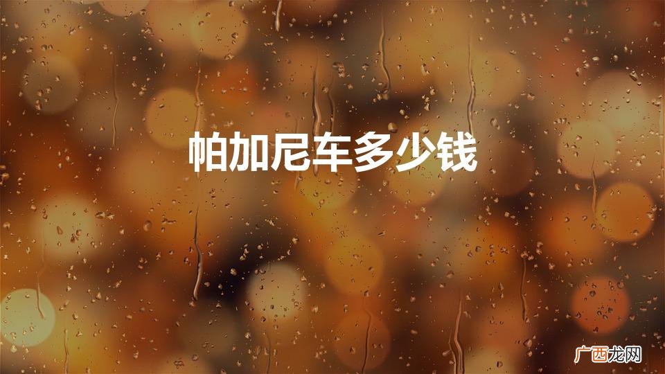 帕加尼价格多少钱一辆 帕加尼车多少钱