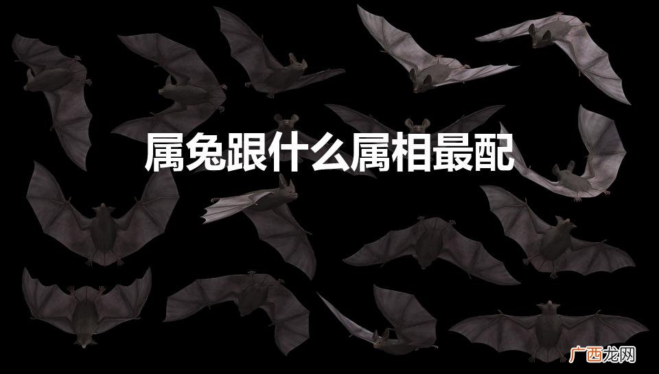 属兔跟什么属相最配对 属兔跟什么属相最配