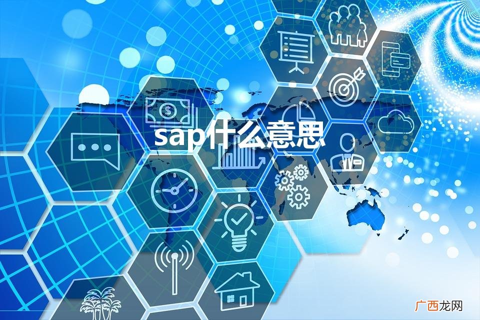 SAP是什么 sap什么意思