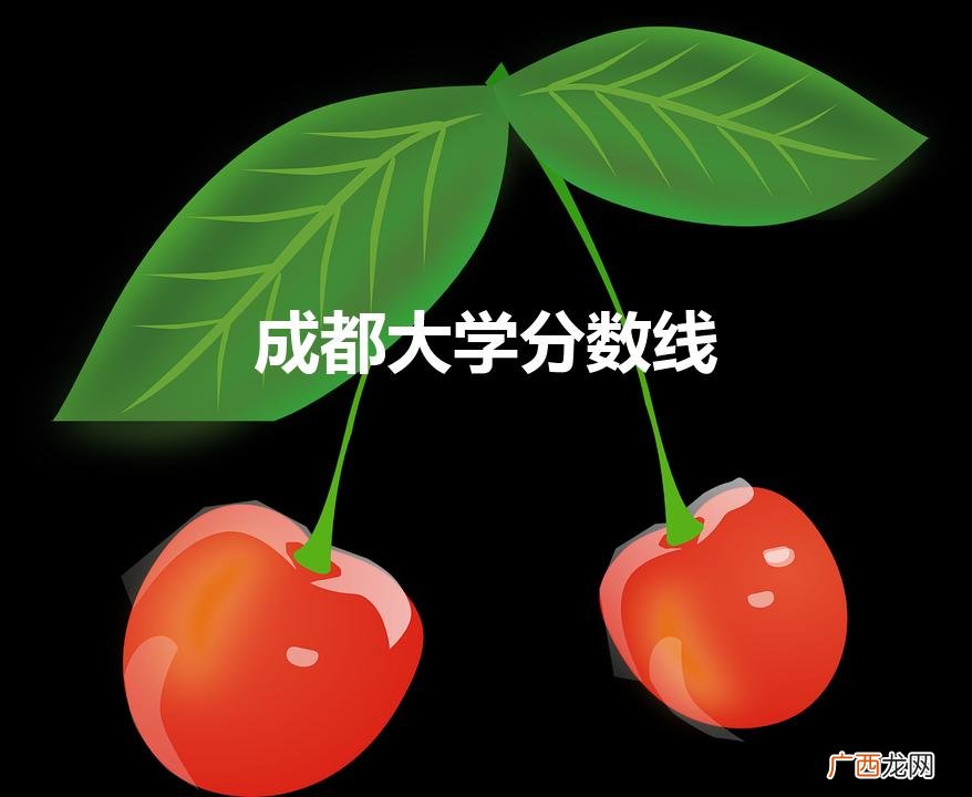 成都大学分数线（成都大学分数线二本)