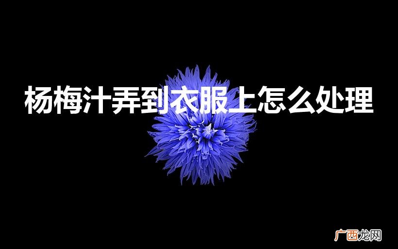 杨梅汁溅衣服了怎么办 杨梅汁弄到衣服上怎么处理