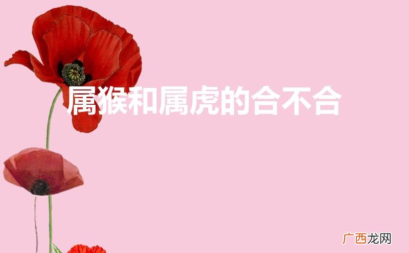 属猴和属虎的合不合财 属猴和属虎的合不合