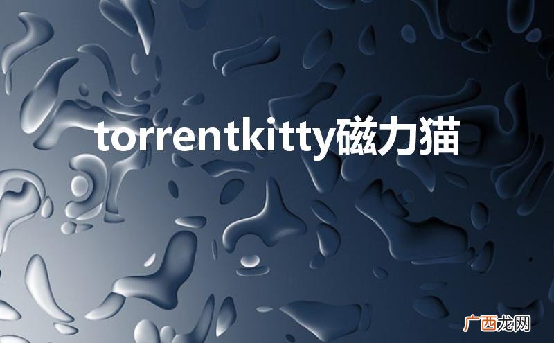 torrentkitty磁力猫官网 torrentkitty磁力猫