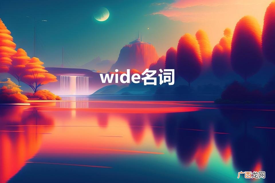 wide名词是什么 wide名词