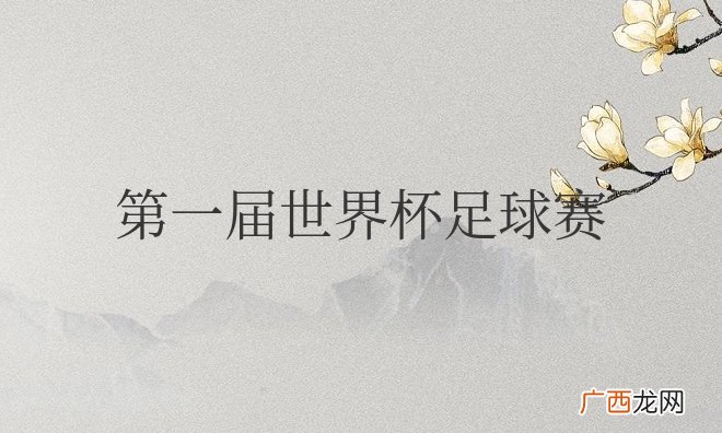 1930年在乌拉圭顺利举办 第一届世界杯足球赛在哪里举行