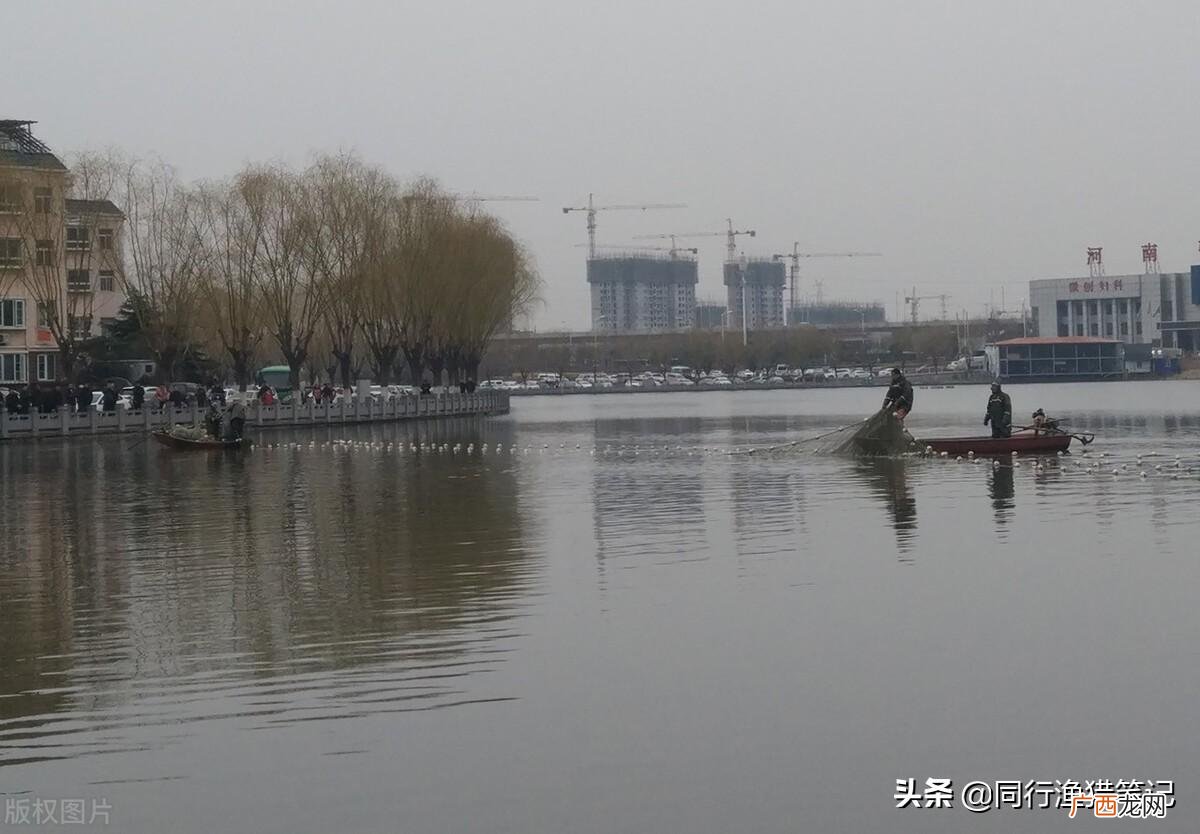 鱼缺氧补救解决方法 鱼缺氧了最快怎么急救