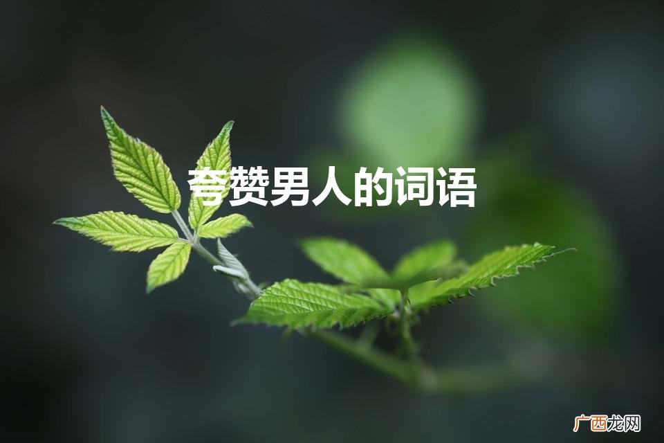 赞美男人优秀的词语有哪些 夸赞男人的词语