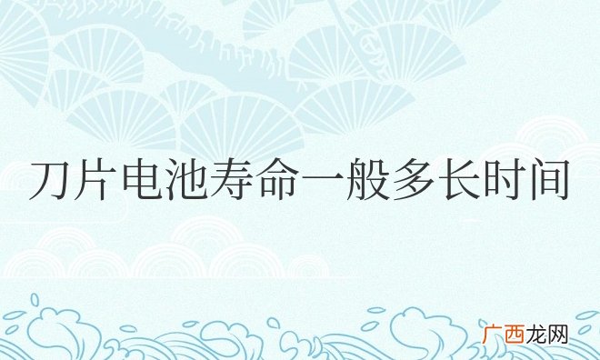 刀片电池寿命一般多长时间更换