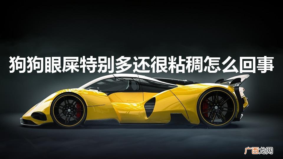 狗狗眼屎多而且黄稠 狗狗眼屎特别多还很粘稠怎么回事