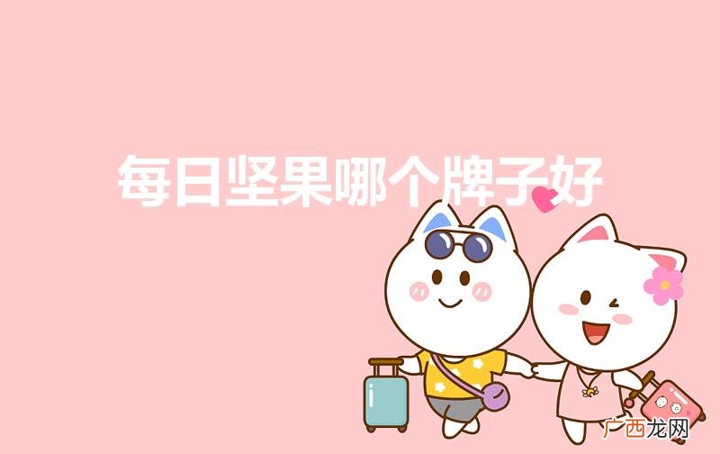 每日坚果什么牌子最好 每日坚果哪个牌子好