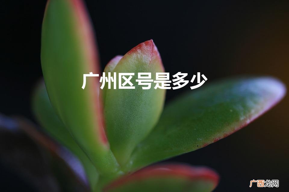 广州区号大全 广州区号是多少