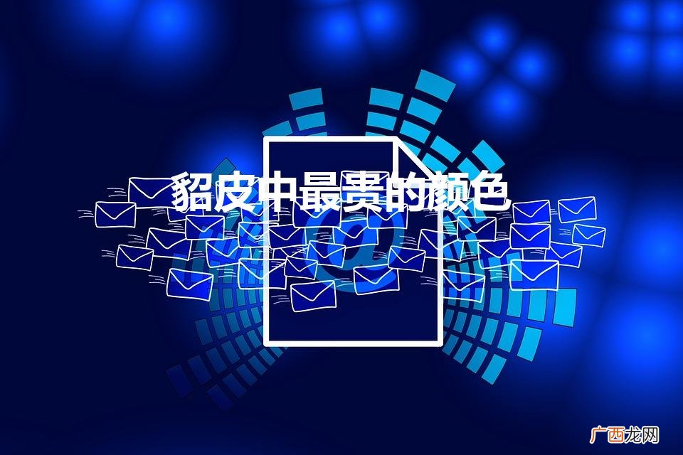 貂皮中哪种最贵 貂皮中最贵的颜色