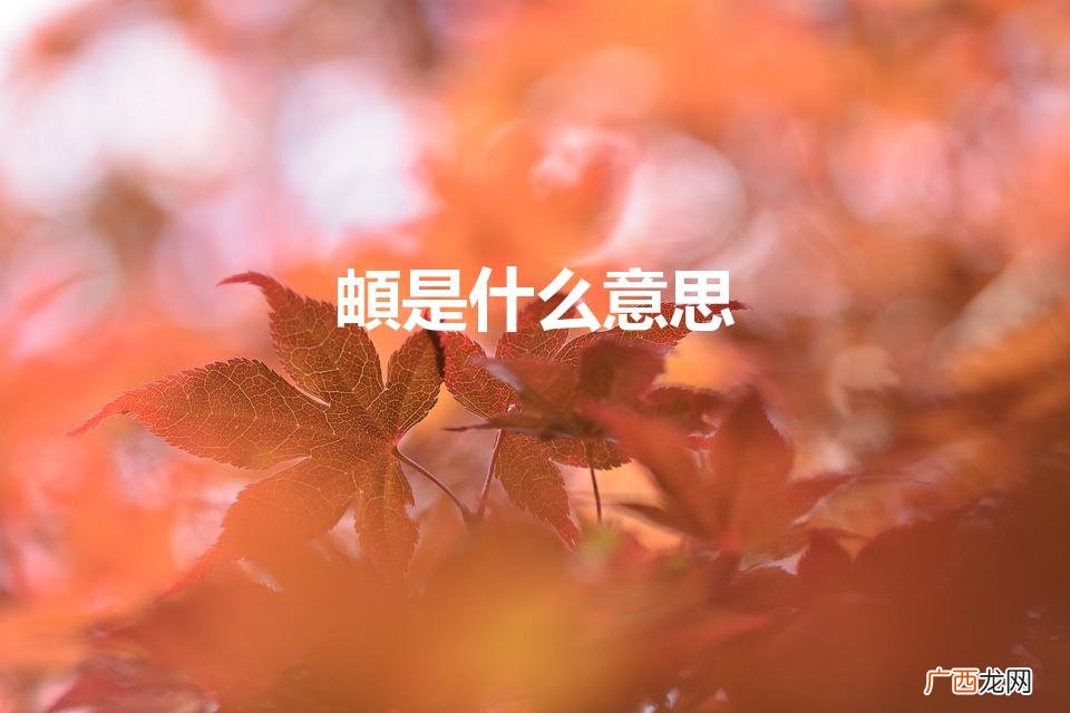 頔是什么意思 頔具体是什么意思 頔是什么意思